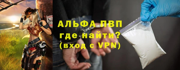 дурь Бородино