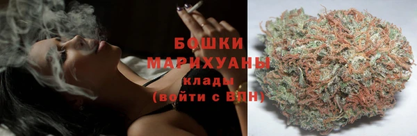 прущие грибы Бугульма