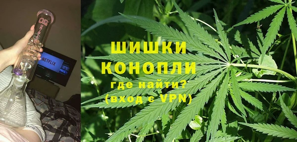 прущие грибы Бугульма