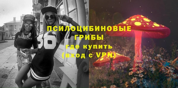 прущие грибы Бугульма