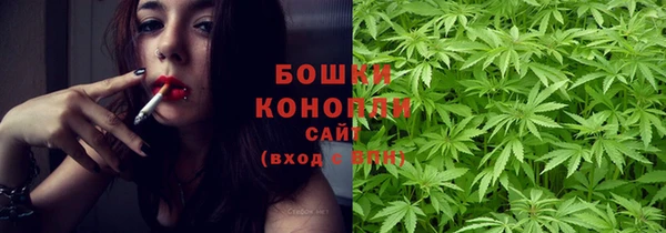 прущие грибы Бугульма