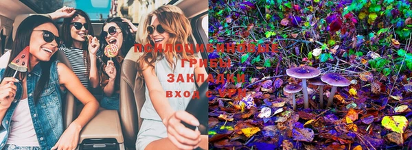 дживик Бронницы