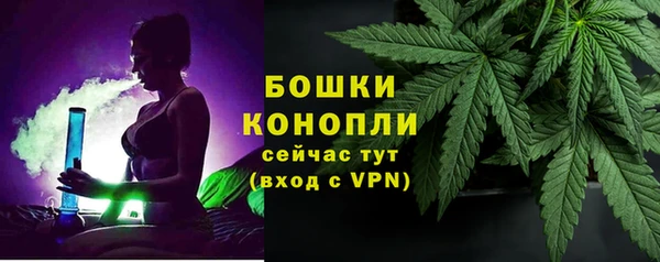 дурь Бородино