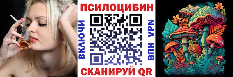 где купить наркоту  Сретенск  Галлюциногенные грибы Psilocybine cubensis 